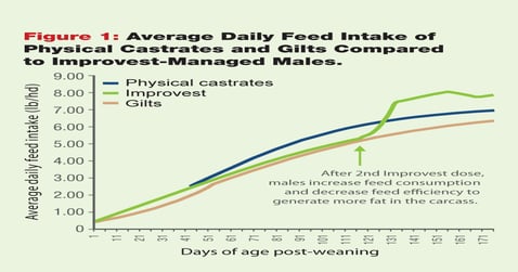 3 Lessons Convey Value of Improvest