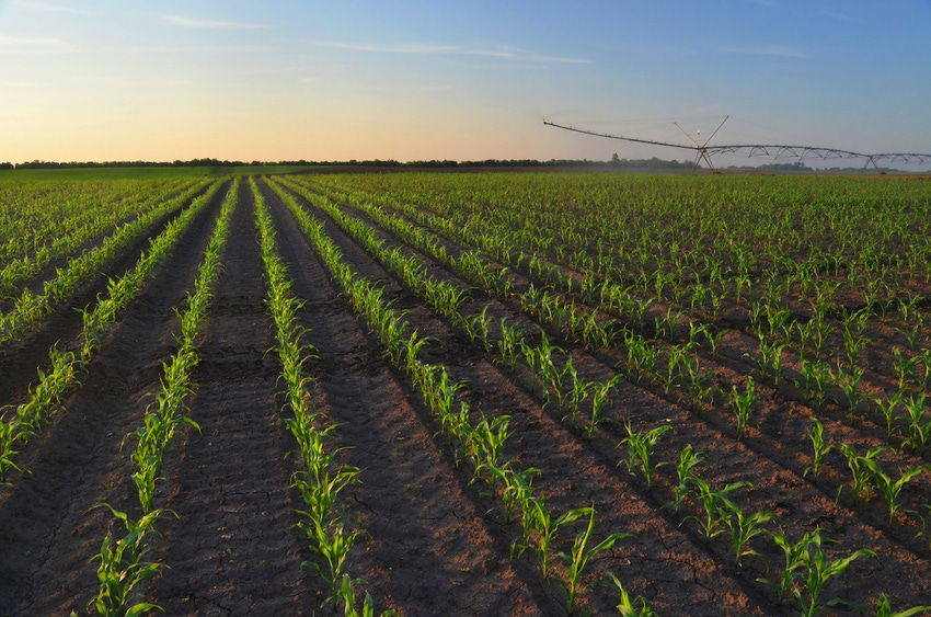 FDA launches Agricultural Water Assessment Builder to help farmers