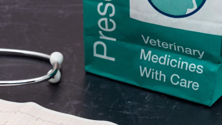 veterinary medicine Getty Images