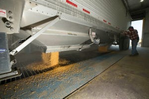 NPB Semi-truck unloading corn at feed mill.jpg
