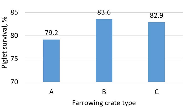 Figure 1: Piglet survival (n=670 sows) across three different farrowing crate sizes at a commercial farm in eastern North Carolina. Length of sow area for farrowing crate types A, B and C were 78, 84 and 83.25 inches, respectively.