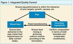 Feed Ingredient Options Add Complexity to Swine Diets