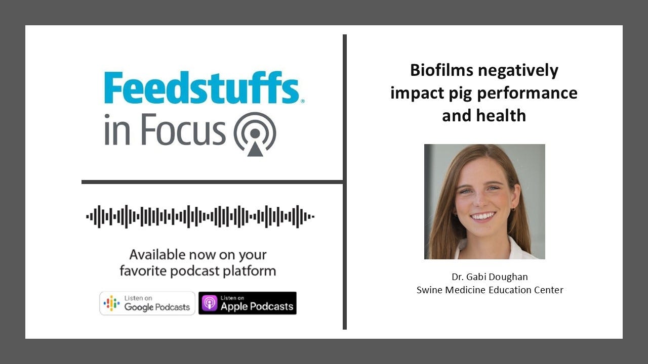 Inside the waterlines: Fixing hidden performance robbers in swine barns