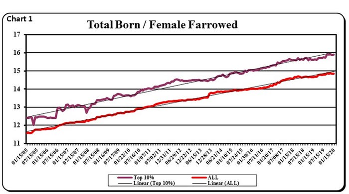 Chart 1: Total born per female farrowed