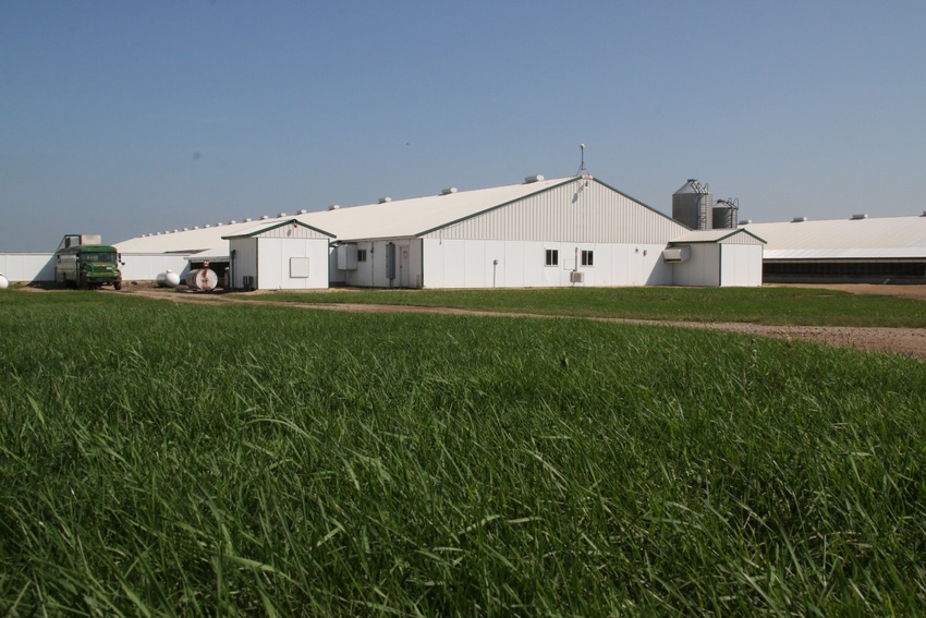 Pig Farm.jpg Pig Farm.jpg
