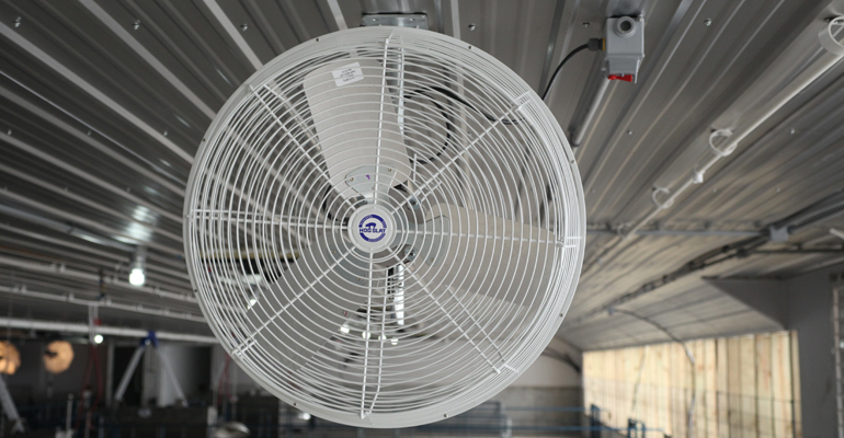 Fogger systems cool pigs by evaporation