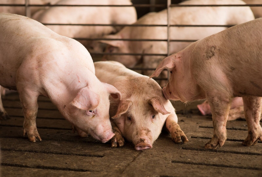 nhf-npb-northcarolina-farm.jpg nhf-npb-northcarolina-farm.jpg