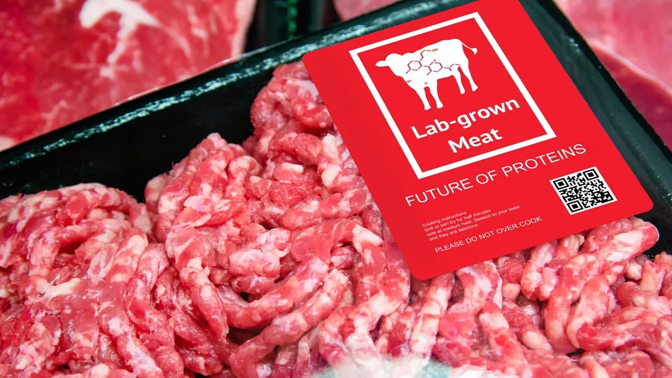 Legislation targets lab-grown, plant-based meat labeling