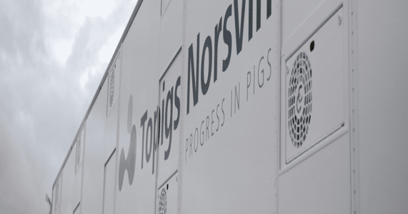 Topigs Norsvin names new leadership in Mexico, Canada
