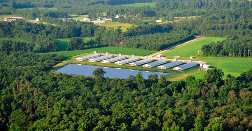 Aerial photo of hog buildings surrounded by trees