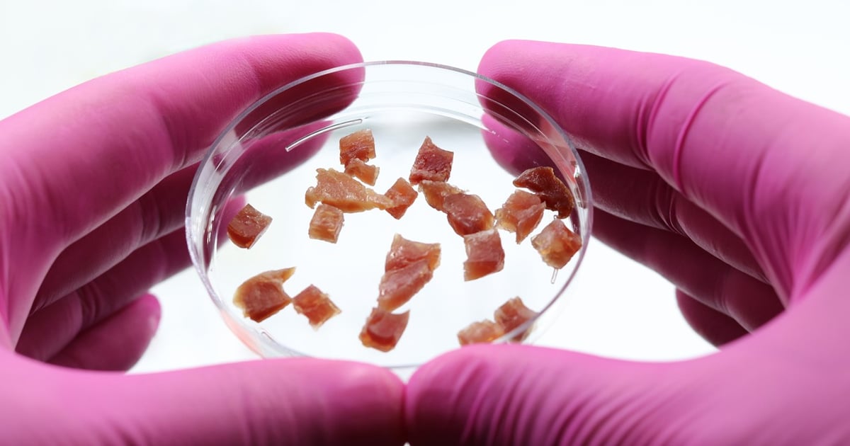 Arizona now requires clear labels on cell-cultured food products