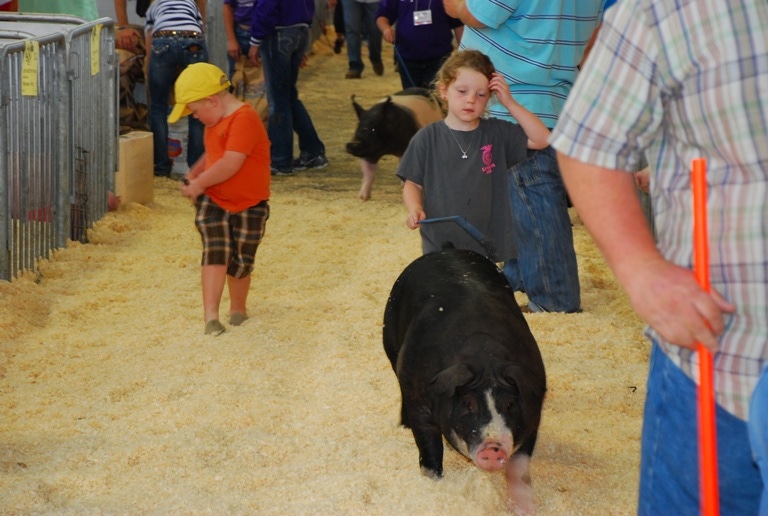 The Exposition boosts biosecurity amid African swine fever concerns