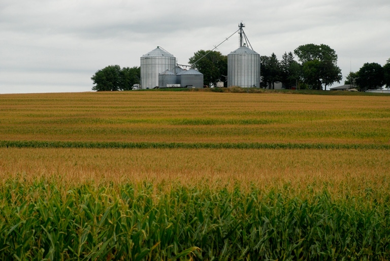 USDA Report Suggests Abundant Corn, Soybean Supplies Ahead