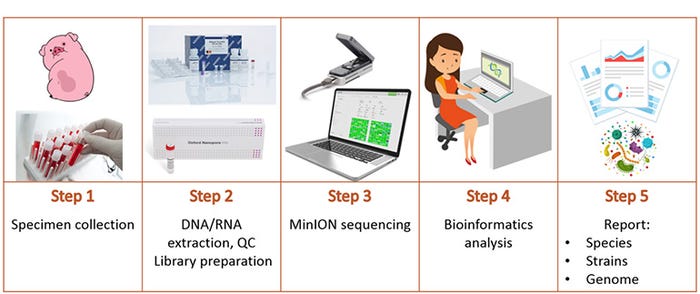  Workflow for same-day infectious disease investigation using sequencing and bioinformatics.
