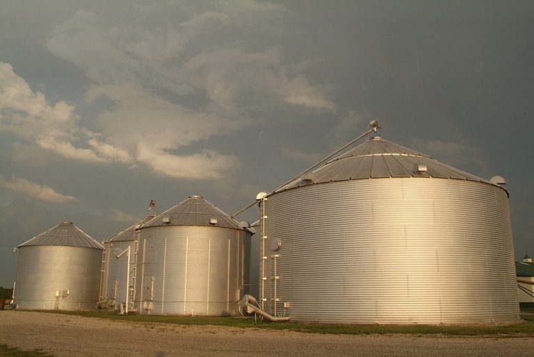 Grain Stocks in Storage Fall, USDA Reports