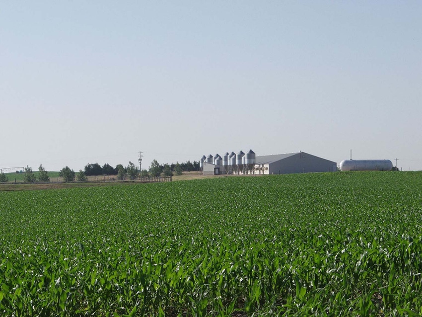 nhf-npb-iowa-corn-barn.jpg nhf-npb-iowa-corn-barn.jpg