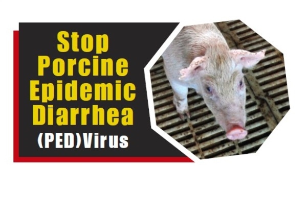 PEDV outbreak in Canada; producers urged to intensify biosecurity