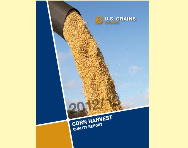 Corn Crop Quality High Despite Drought
