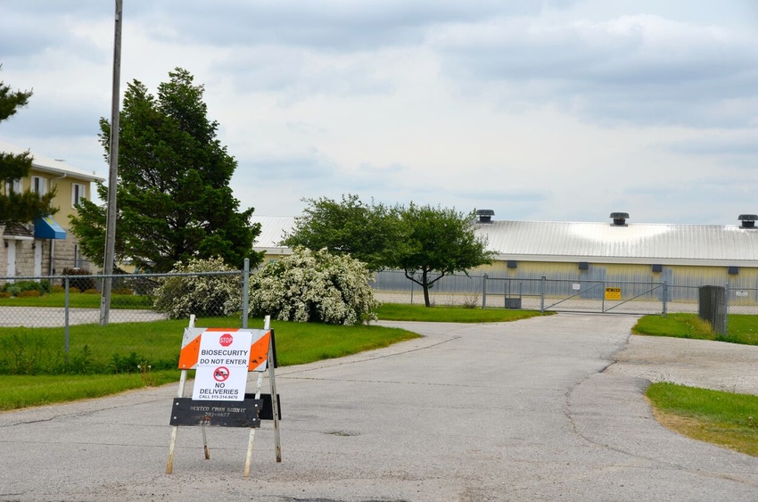 Avian Influenza Biosecurity .jpg Avian Influenza Biosecurity .jpg