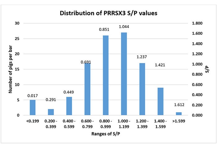  Histogram of PRRSV X3 ELISA S/P values following administration of PRRS vaccine. 