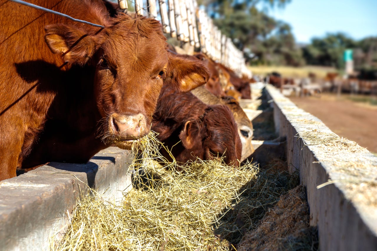 Farm Progress America, October 27, 2025