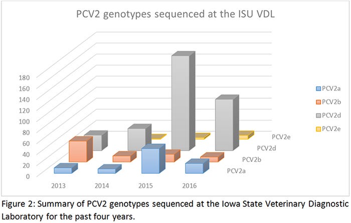 NHF-ISU-VDL-PCV2-genotypes-sequenced-Figure2_2.jpg