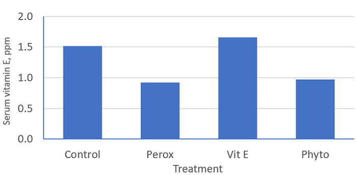 Figure 2: Impact of peroxidation of dietary lipid and supplementation of antioxidants (vitamin E and phytogenics) in the drinking water on serum vitamin E concentrations.