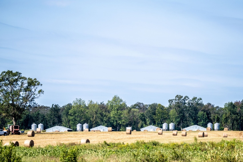 Edward's Farm North Carolina.jpg