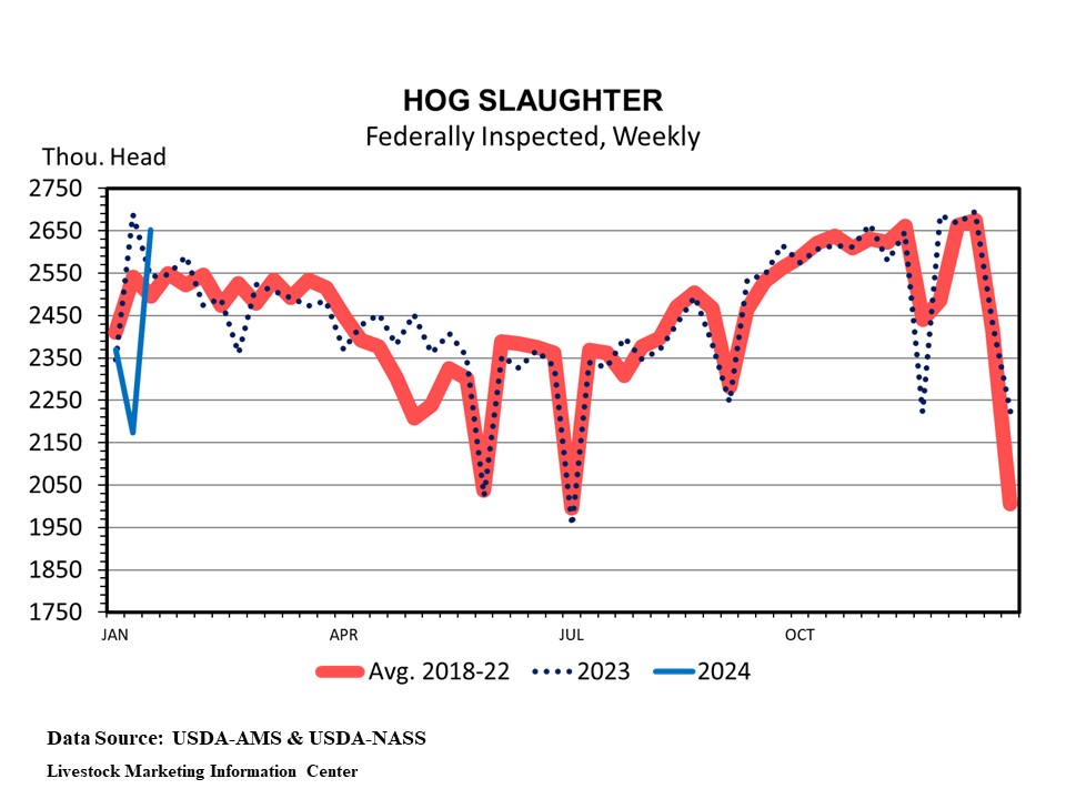 More hogs than expected