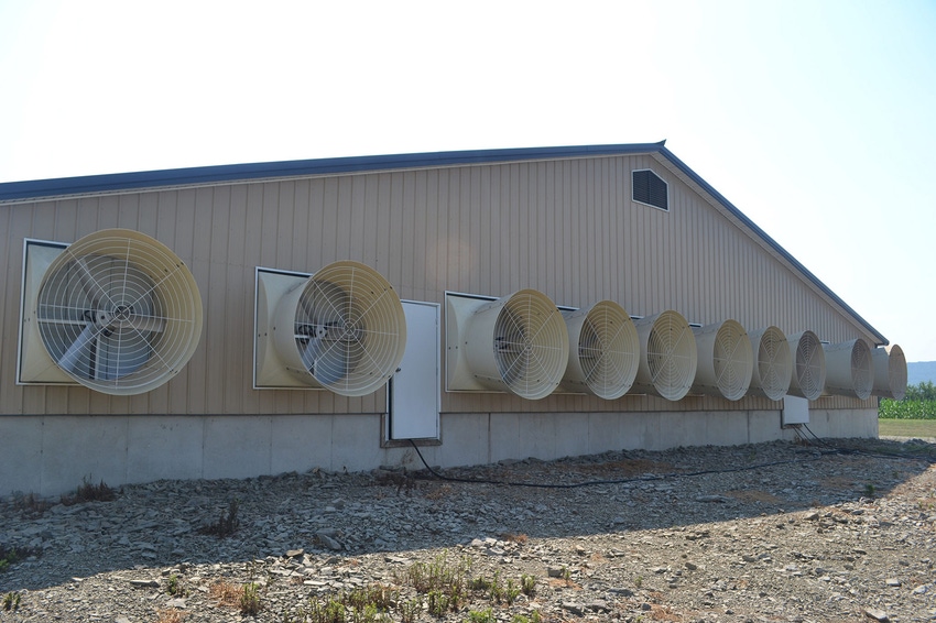 End of a hog barn with a wall of fans