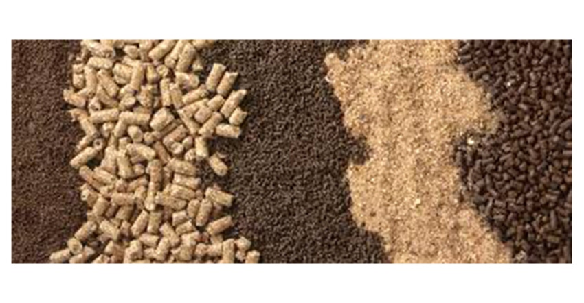 1540_800_Improving Pelleted Feed Quality.png
