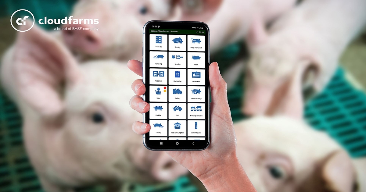 JBS, Cloudfarms advance swine data management at U.S. sow sites