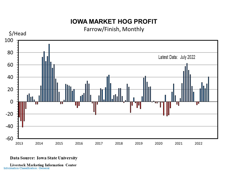 Hog slaughter remains spot on