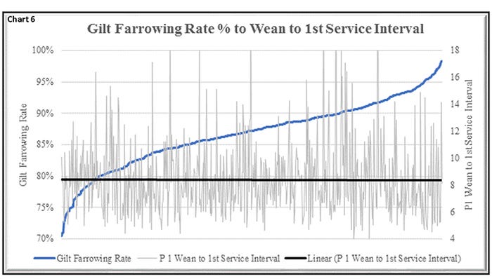 Chart 6: Gilt farrowing rate percent to wean-to-first-service interval