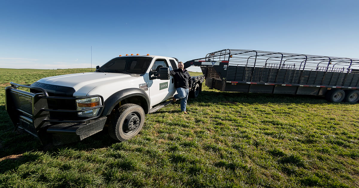 'Reman' breathes new life into Hanor's fleet trucks
