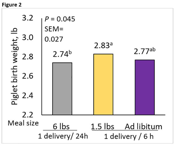 Figure 2: Average piglet birth weight impact of sow feeding