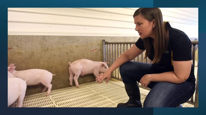 Hog Reproduction recent news | National Hog Farmer