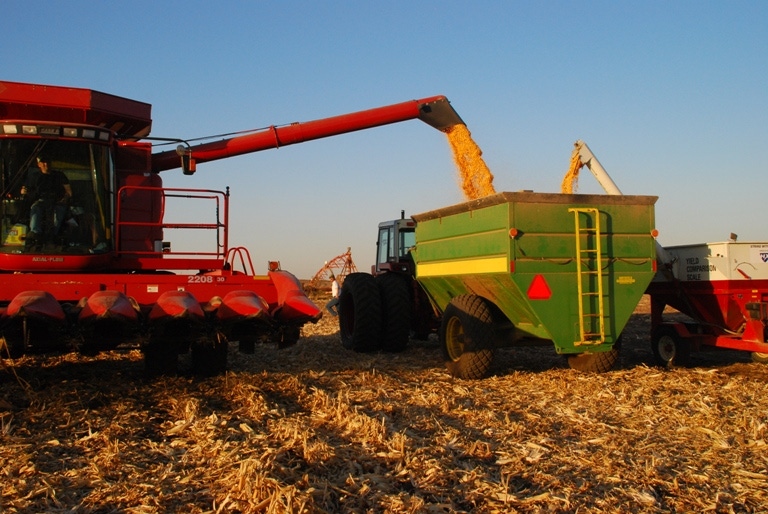 USDA Expects 75-Year-High Corn Acreage in 2012