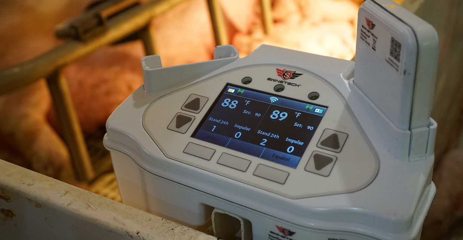 National Hog Farmer, your source for hog production, management and ...