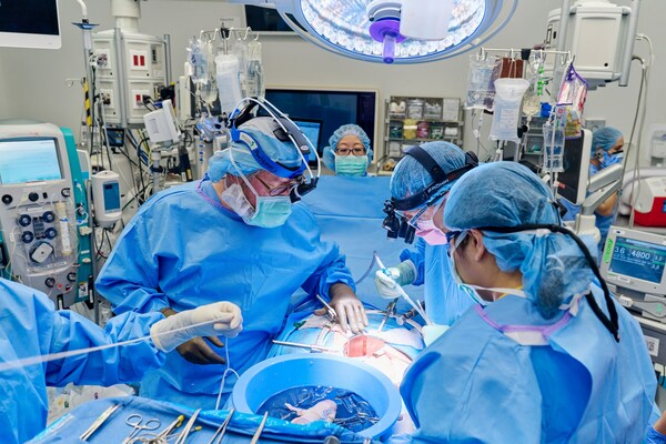Surgeons perform first combined heart pump, pig kidney transplant