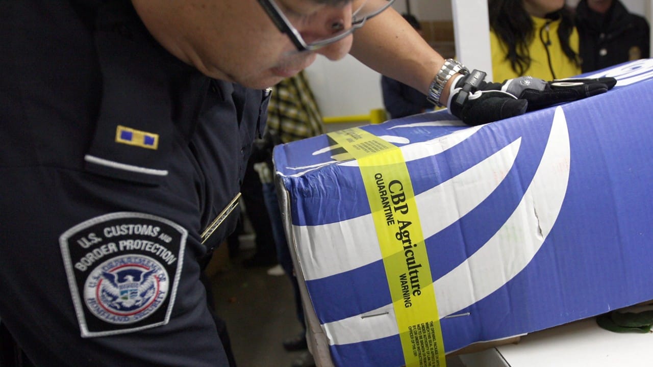 USDA OIG strengthens efforts to combat agricultural trade fraud Getty Images CBP Inspecting Ag Package