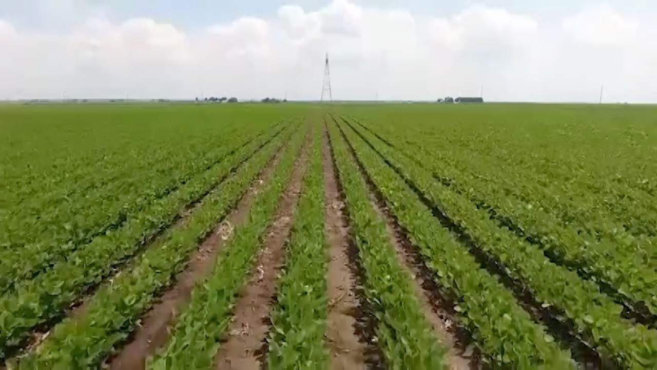 This Week in Agribusiness, July 29, 2023 - Vimarsana News
