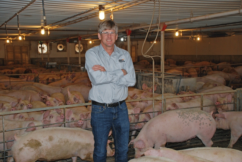 O’Neels have grown with swine industry