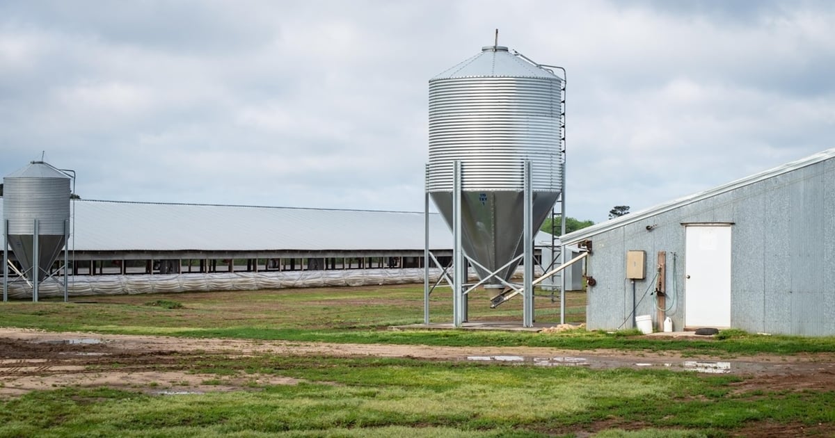 PRV case highlights U.S. swine industry's rapid, effective disease response