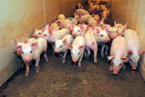 Swine 2012 Study Updates National Health Data