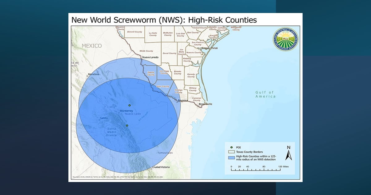 Florida issues New World screwworm emergency animal import rule