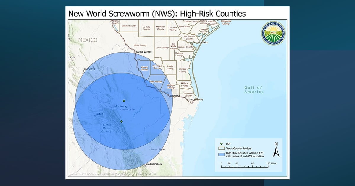 Florida issues New World screwworm emergency animal import rule