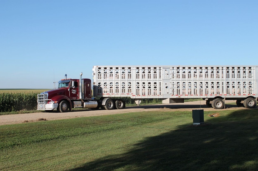 NPB truck pigs.jpg