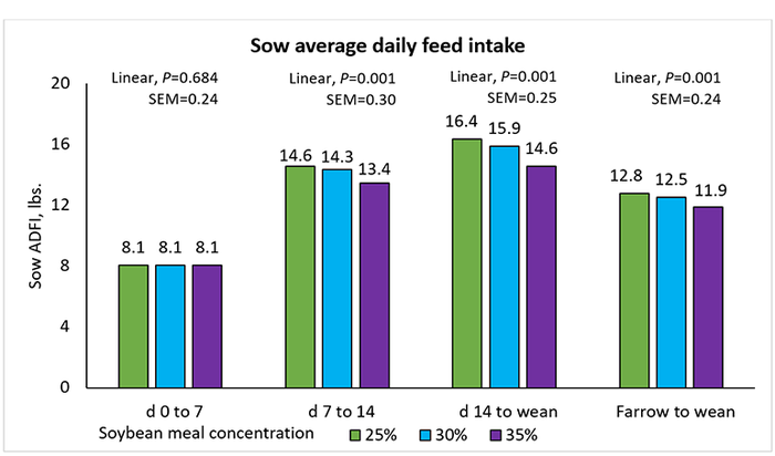 Figure 1: Effect of lactation diet soybean meal concentration on sow average daily feed intake during lactation.