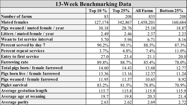 13 week benchmarking data